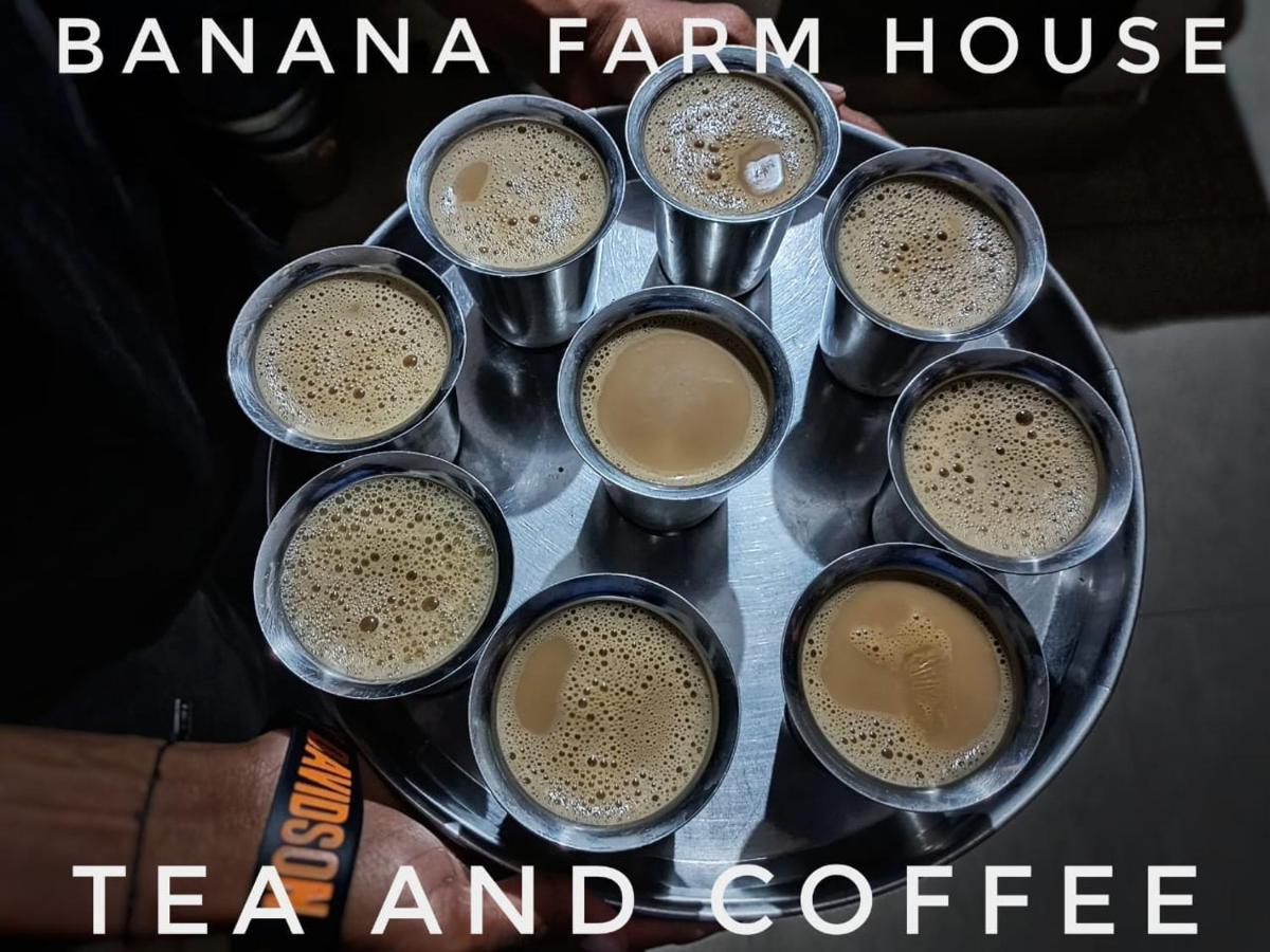 Banana Farm House Хампи Экстерьер фото