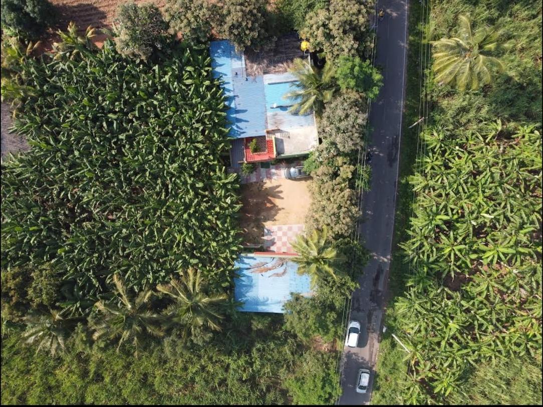 Banana Farm House Хампи Экстерьер фото