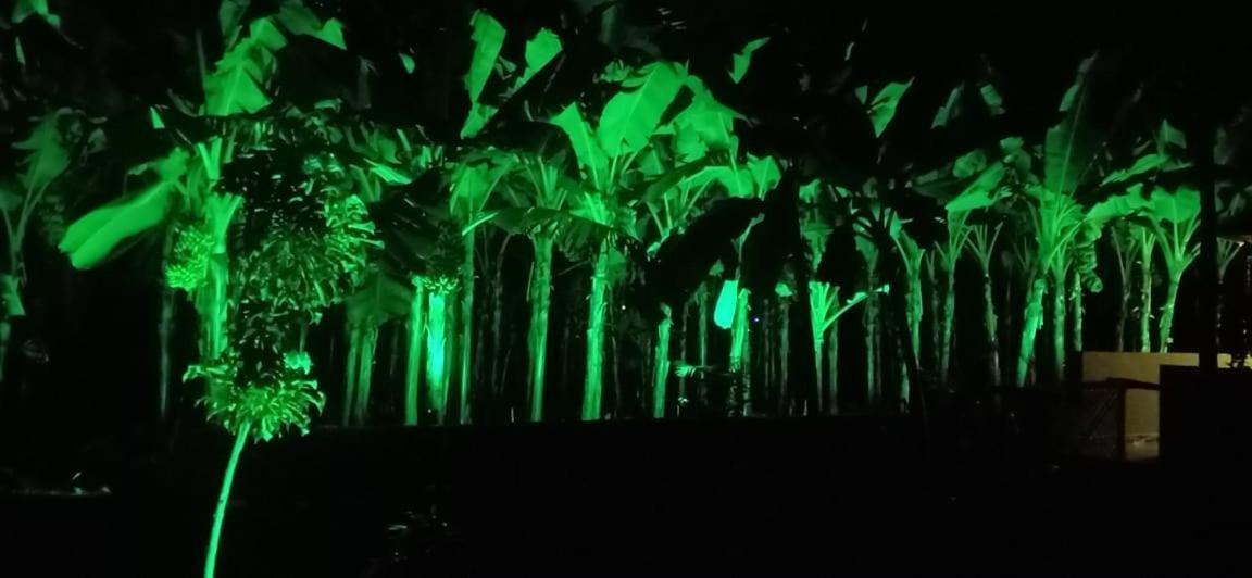 Banana Farm House Хампи Экстерьер фото